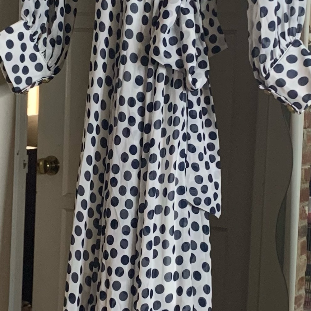 Blue & White Polka Dot dress